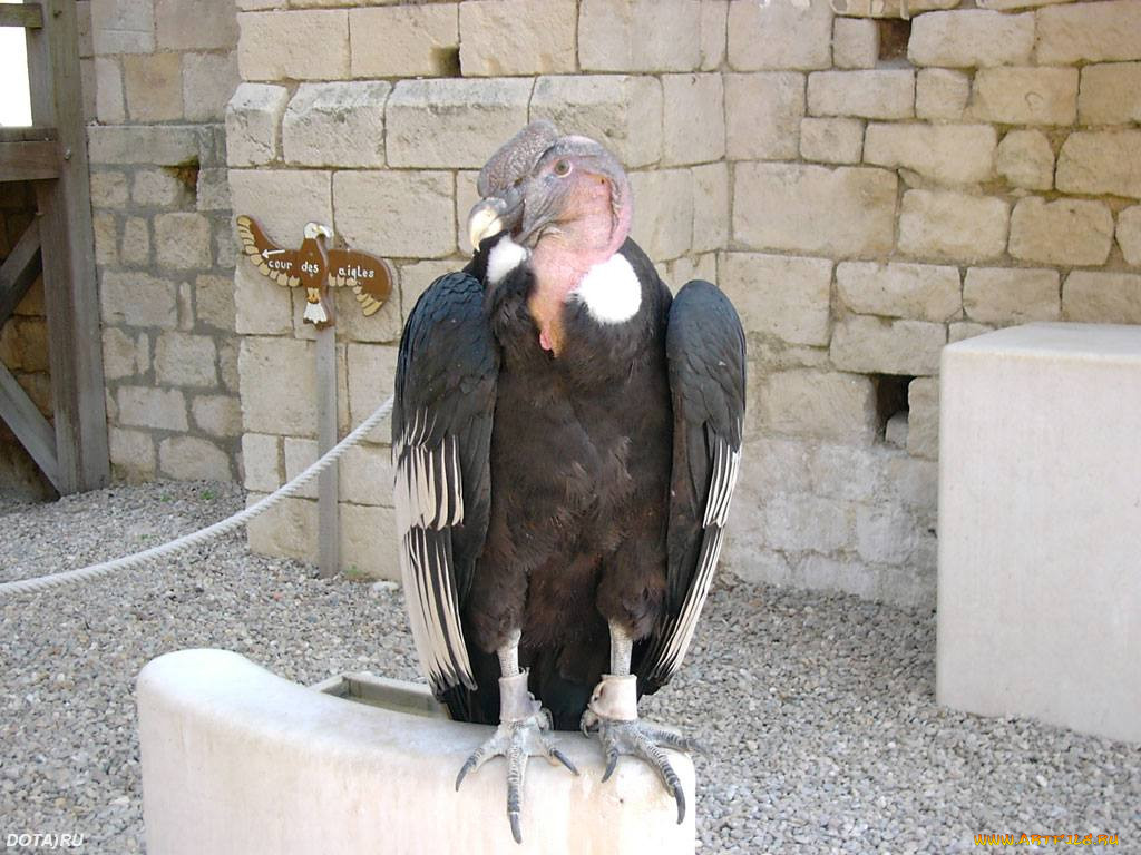 , , 